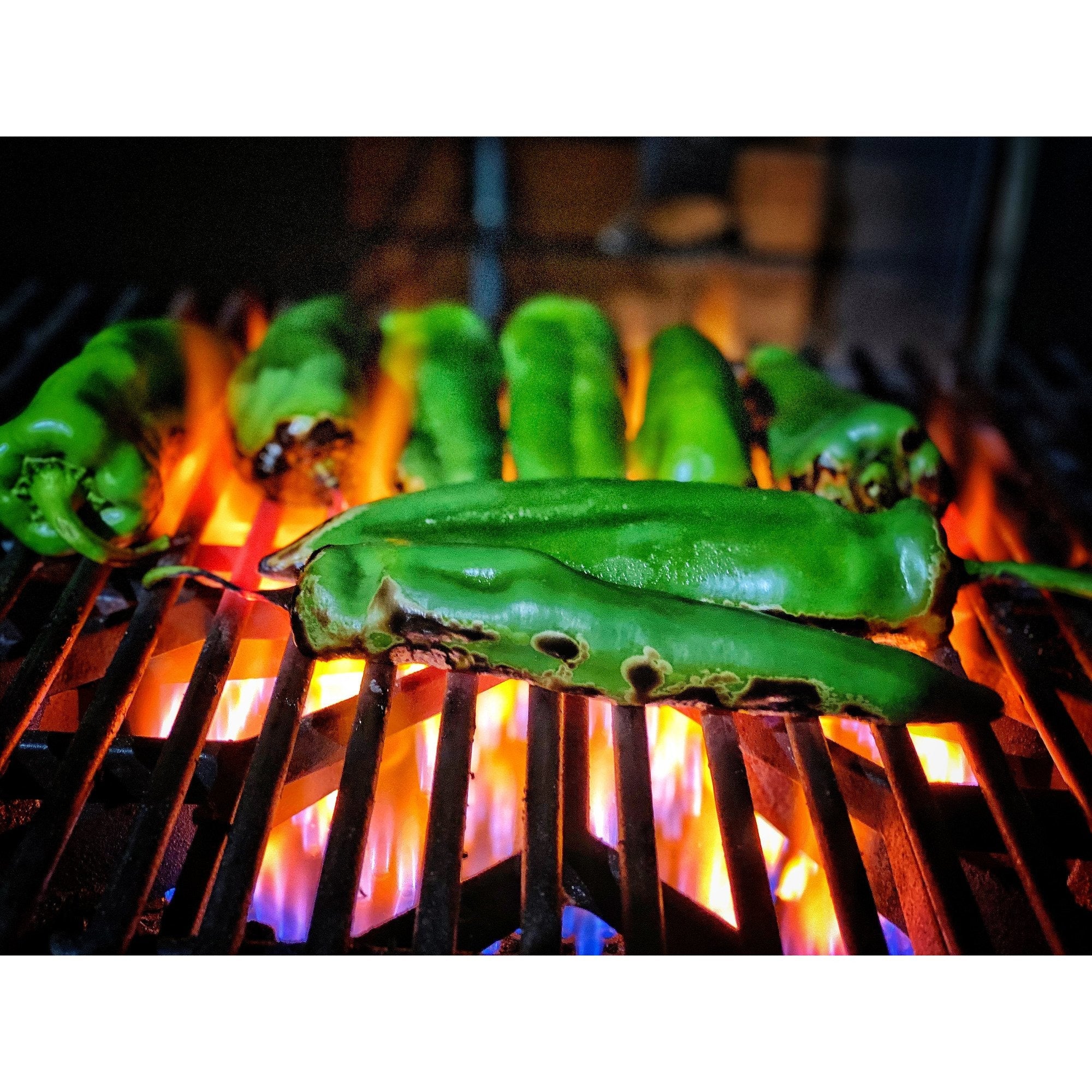 Jalapeño // Bacon // Chedda