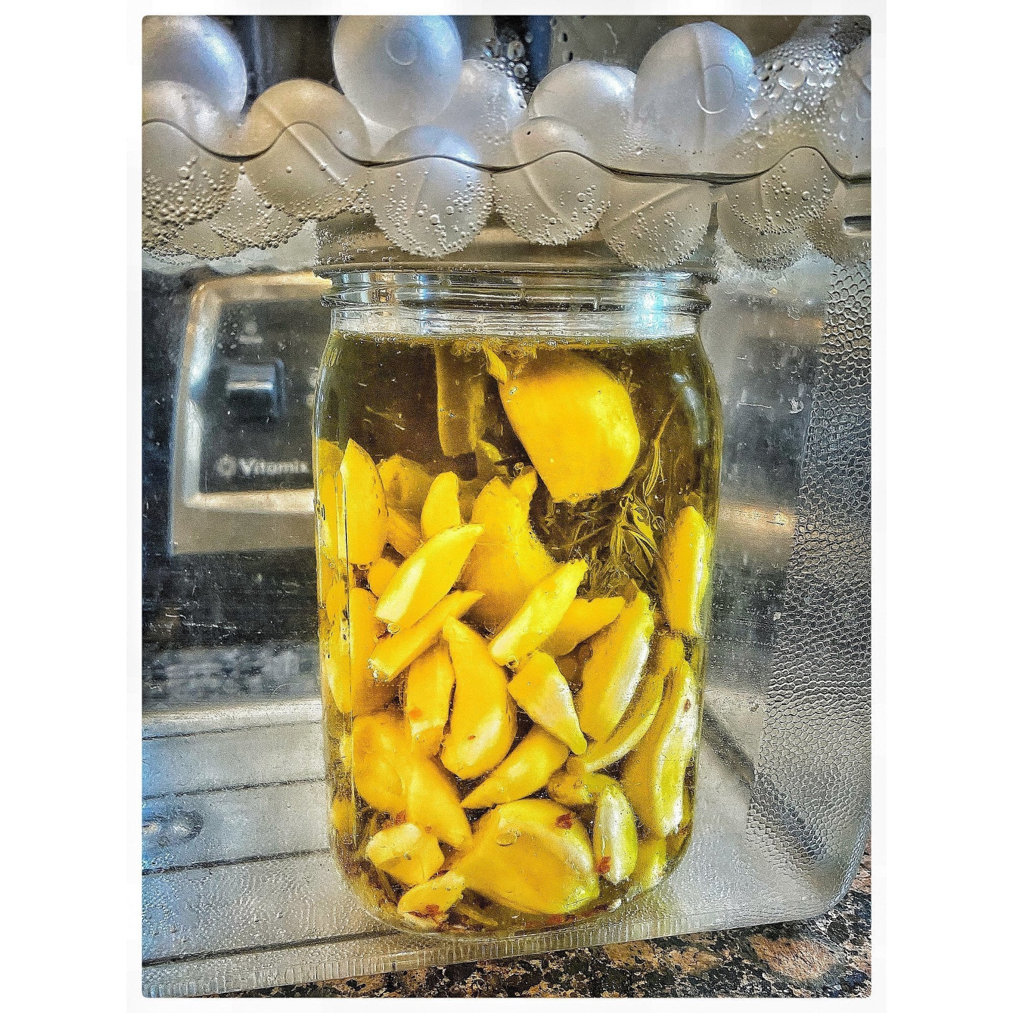 Garlic Confit // Thyme Loaf