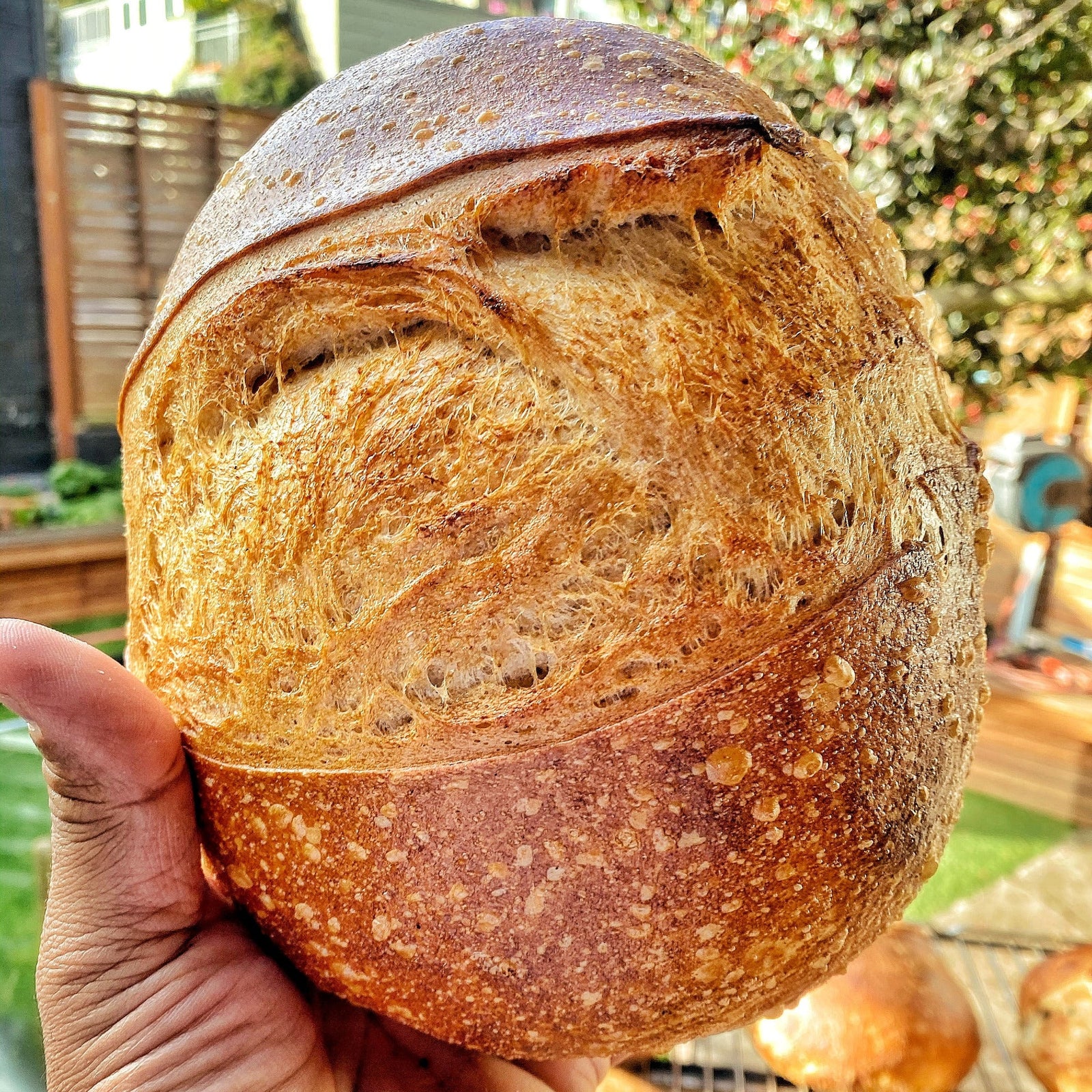 PAY IT FORWARD // OG LOAF