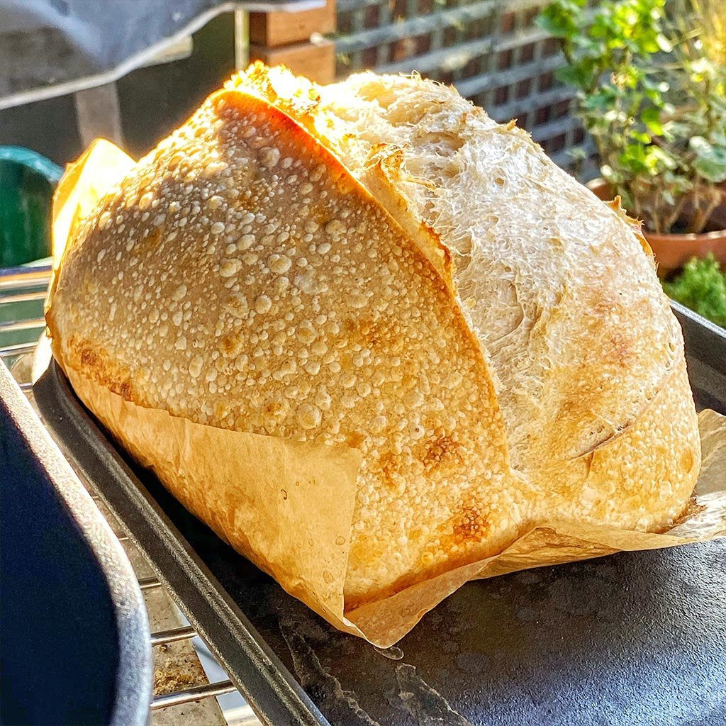 PAY IT FORWARD // OG LOAF