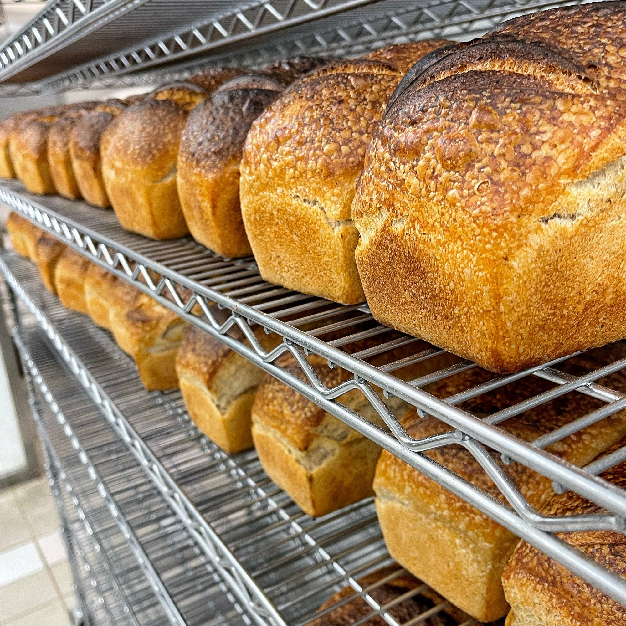 Rooted // Country Pan Loaf