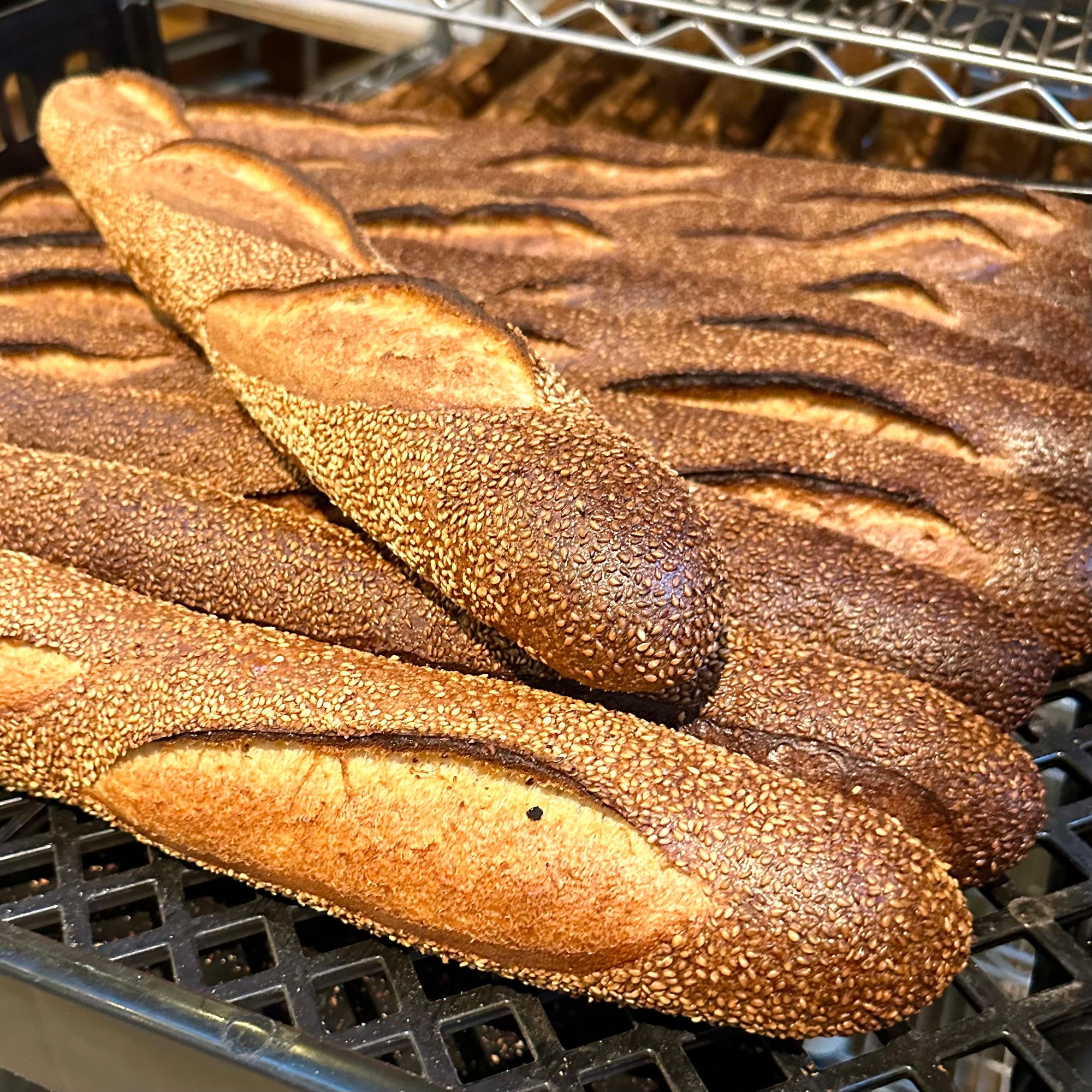 East Coast // Semolina Hoagie